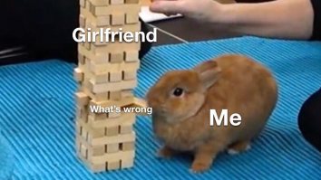 43 Of The Best Damn Photos On The Internet This Afternoon