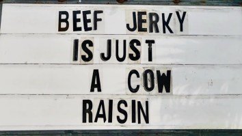 42 Of The Best Damn Photos On The Internet This Morning