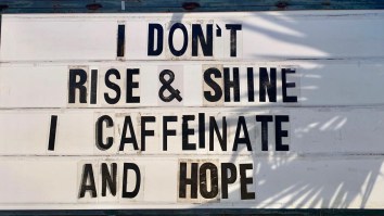 42 Of The Best Damn Photos On The Internet This Morning