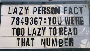 42 Of The Best Damn Photos On The Internet This Morning