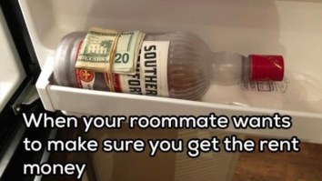 43 Of The Best Damn Photos On The Internet This Afternoon