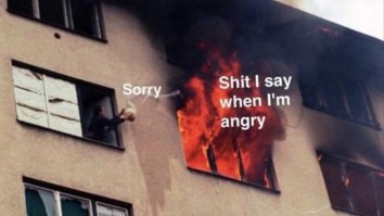 43 Of The Best Damn Photos On The Internet This Afternoon