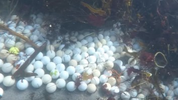 Diver Finds Over 50,000 Golf Balls Sitting At The Bottom Of The Ocean Near Pebble Beach