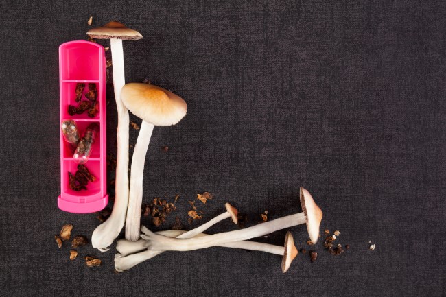 will magic mushrooms be legalized