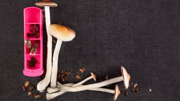 Denver Might Be First City To Decriminalize Magic Mushrooms