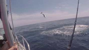Crazy Mako Shark Does Acrobatic Flips Next To The Boat While These Fishermen Lose Their Sh*t