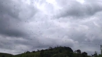 Grab Your Flamethrowers Because It’s ‘Raining’ Clouds Of Spiders And We Need To Burn It All Down (Video)