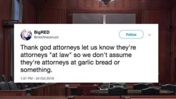 43 Of The Best Damn Photos On The Internet This Afternoon