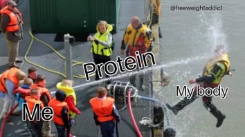 43 Of The Best Damn Photos On The Internet This Afternoon