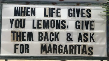 42 Of The Best Damn Photos On The Internet This Morning