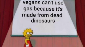 43 Of The Best Damn Photos On The Internet This Afternoon