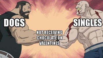 43 Of The Best Damn Photos On The Internet This Afternoon