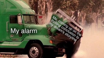 43 Of The Best Damn Photos On The Internet This Afternoon