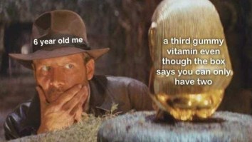 43 Of The Best Damn Photos On The Internet This Afternoon