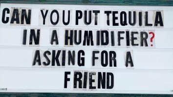 42 Of The Best Damn Photos On The Internet This Morning