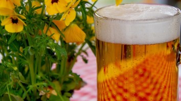 Your Favorite Beer Might Contain Weed Killer But How Worried Should You Be?