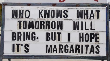 42 Of The Best Damn Photos On The Internet This Morning