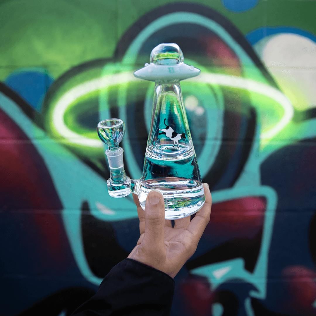 This Company Is Being Called 'The Amazon Of Cannabis' And They're