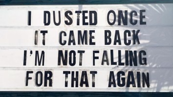 42 Of The Best Damn Photos On The Internet This Morning