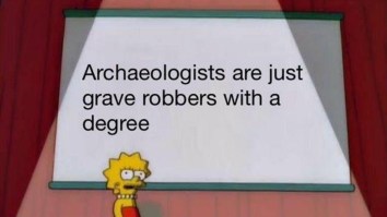 43 Of The Best Damn Photos On The Internet This Afternoon