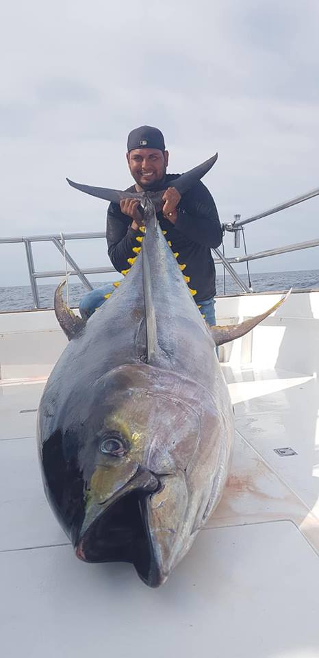 record yellowfin tuna