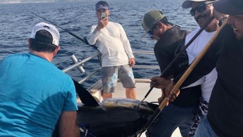 Angler Catches Potential 450-Pound World Record Yellowfin Tuna With Enough Fresh Meat To Feed An Army