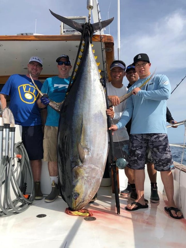 record yellowfin tuna