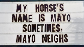 42 Of The Best Damn Photos On The Internet This Morning