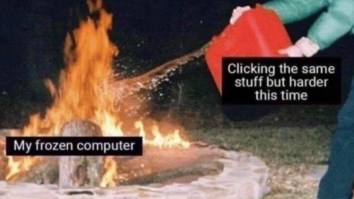 43 Of The Best Damn Photos On The Internet This Afternoon