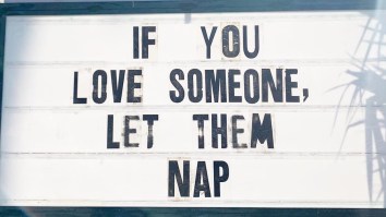 42 Of The Best Damn Photos On The Internet This Morning