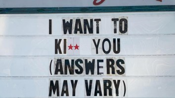 45 Of The Best Damn Photos On The Internet Today