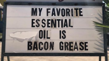 42 Of The Best Damn Photos On The Internet This Morning