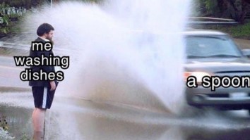 42 Of The Best Damn Photos On The Internet This Morning