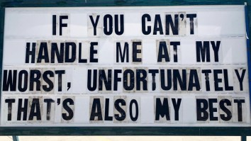 42 Of The Best Damn Photos On The Internet This Morning