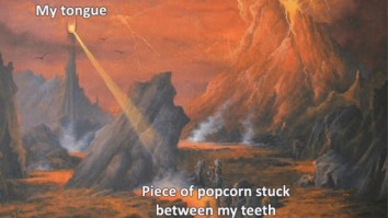 43 Of The Best Damn Photos On The Internet This Afternoon