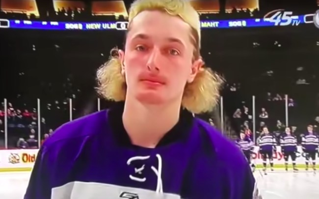 2019 Minnesota State High School All-Hockey Hair Team