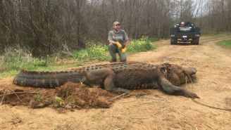 This Gargantuan 13-Foot-Long, 700-Pound Alligator Was So Massive People Thought It Was A Hoax