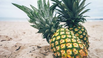 Apparently We’ve Been Eating Pineapples Wrong Our Entire Lives, And The Internet’s Mind Is Blown