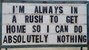 42 Of The Best Damn Photos On The Internet This Morning