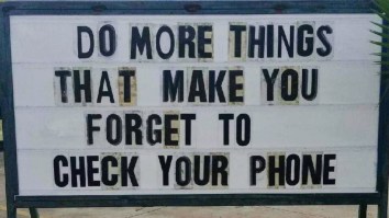 42 Of The Best Damn Photos On The Internet This Morning