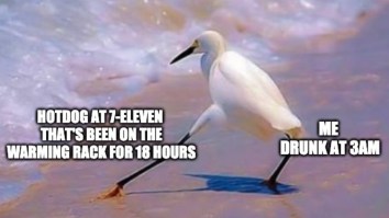 43 Of The Best Damn Photos On The Internet This Afternoon