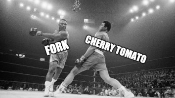 43 Of The Best Damn Photos On The Internet This Afternoon