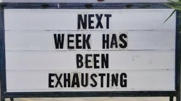 42 Of The Best Damn Photos On The Internet This Morning