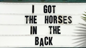 42 Of The Best Damn Photos On The Internet This Morning