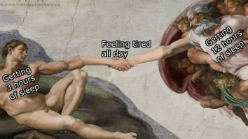 43 Of The Best Damn Photos On The Internet This Afternoon