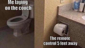 43 Of The Best Damn Photos On The Internet This Afternoon