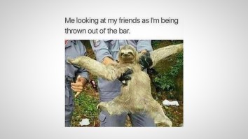 43 Of The Best Damn Photos On The Internet This Afternoon