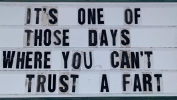 50 Of The Best Damn Photos On The Internet Today