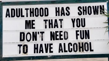 42 Of The Best Damn Photos On The Internet This Morning