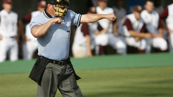 All Dogs Go To Heaven But Not This Evil Umpire Who Stopped A Team’s ‘Bat Dog’ From Doing Its Job